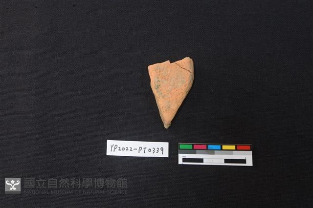 陶片藏品圖，第2張