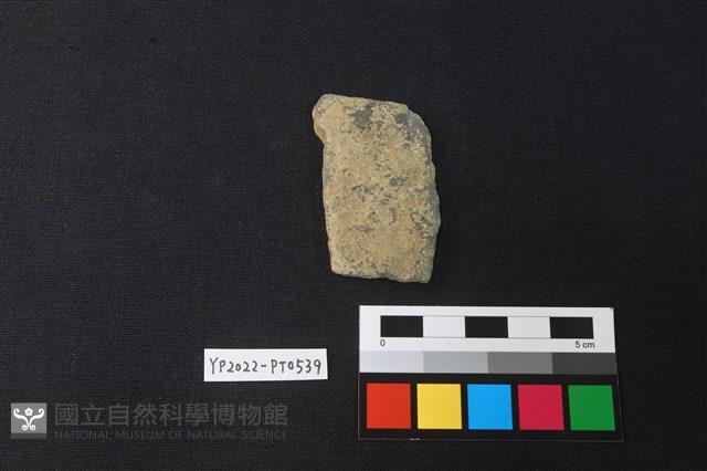 陶片藏品圖，第2張