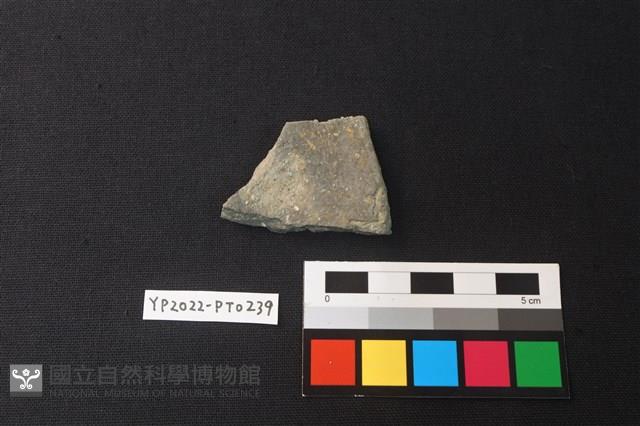 陶片藏品圖，第2張