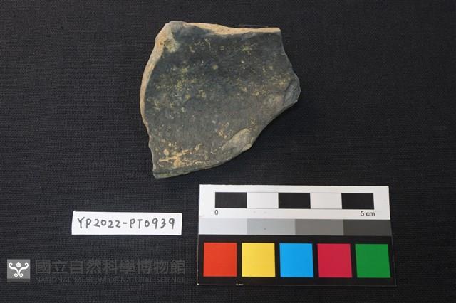 陶片藏品圖，第2張