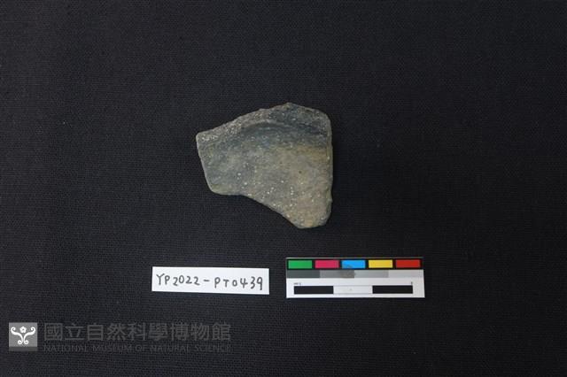 陶片藏品圖，第2張