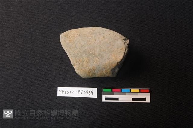 陶片藏品圖，第2張
