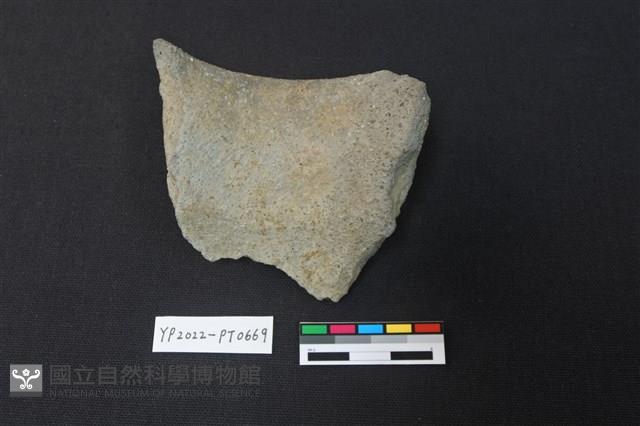 陶片藏品圖，第2張
