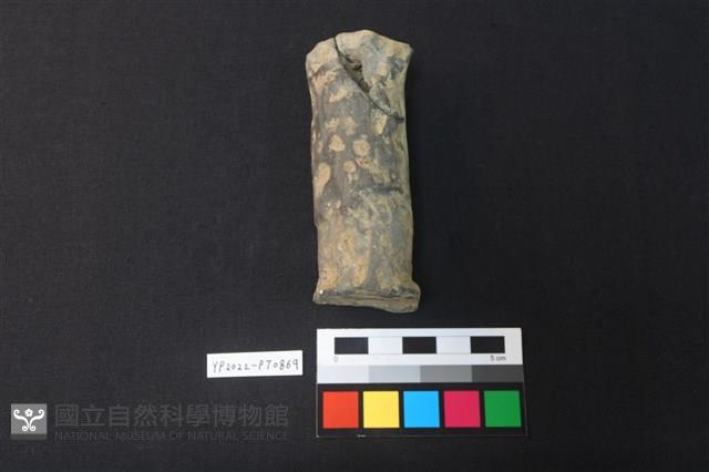 獸形陶足藏品圖，第2張