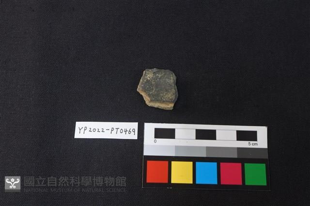 陶片藏品圖，第2張