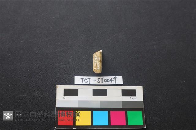 錛鑿形器藏品圖，第2張