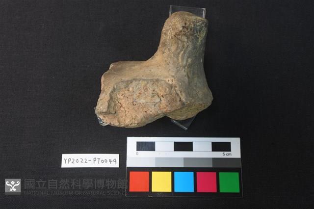 覆碗型陶蓋藏品圖，第2張