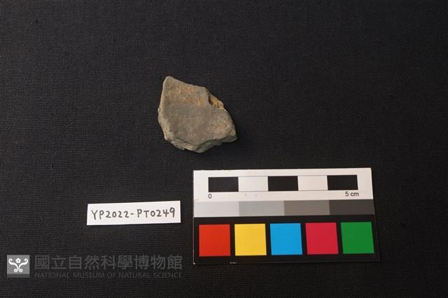 陶片藏品圖，第2張