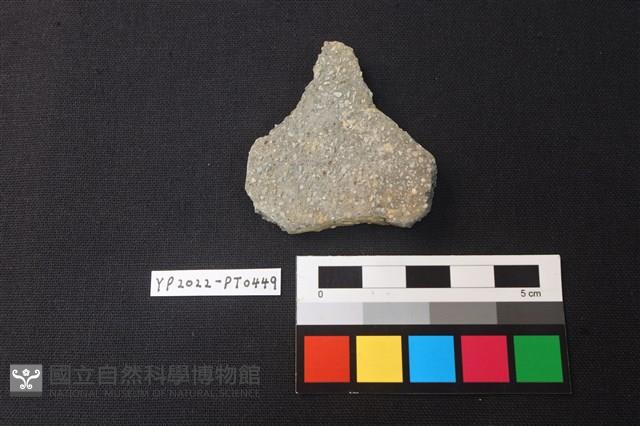 陶片藏品圖，第2張