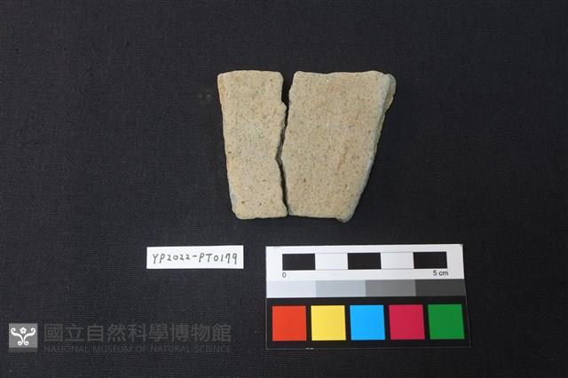 陶片藏品圖，第2張