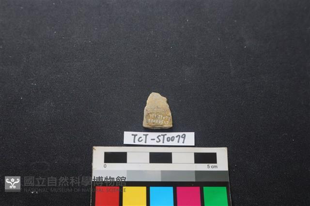 矛鏃形器藏品圖，第2張