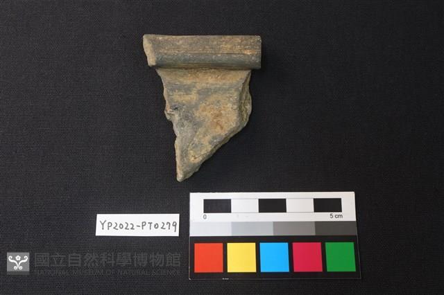 陶片藏品圖，第2張