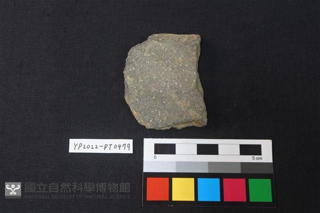 陶片藏品圖，第2張