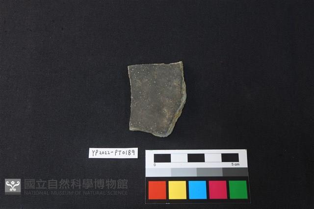 陶片藏品圖，第2張