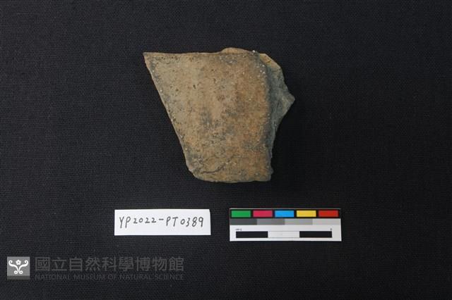 陶片藏品圖，第2張