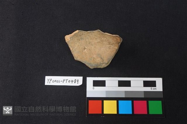 陶片藏品圖，第2張