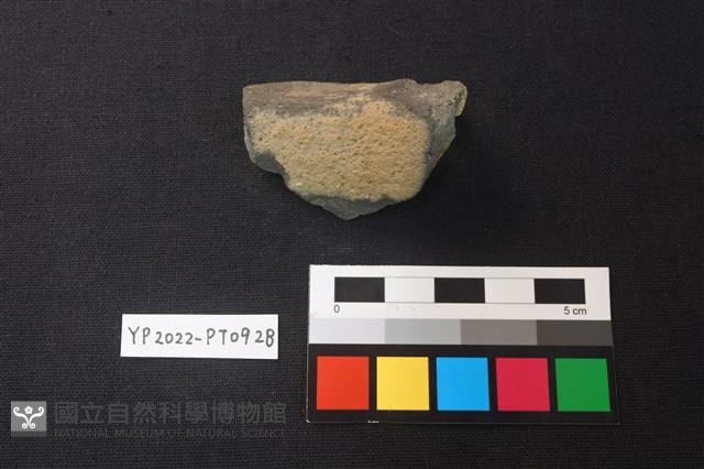 陶片藏品圖，第2張