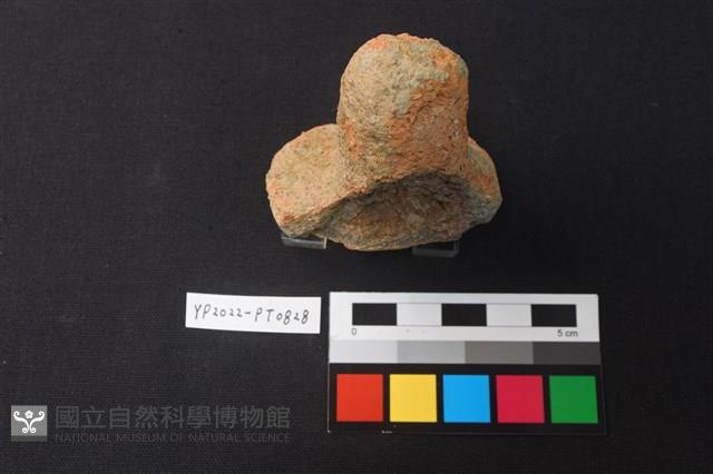 蓋鈕藏品圖，第2張