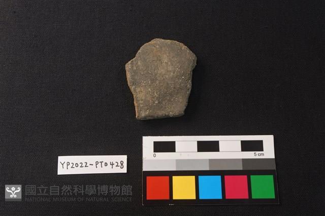 陶片藏品圖，第2張