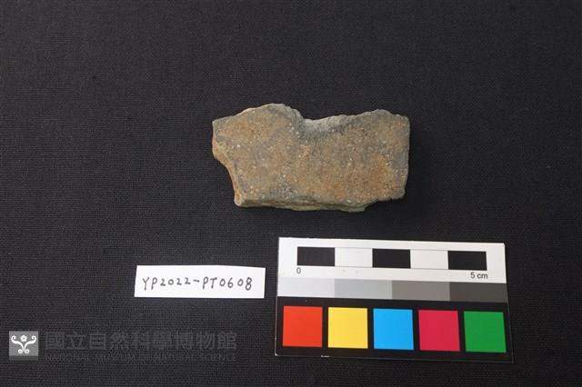 陶片藏品圖，第2張