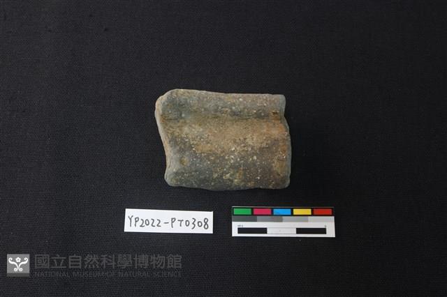 陶片藏品圖，第2張