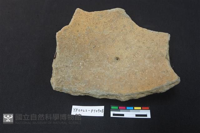 陶片藏品圖，第2張