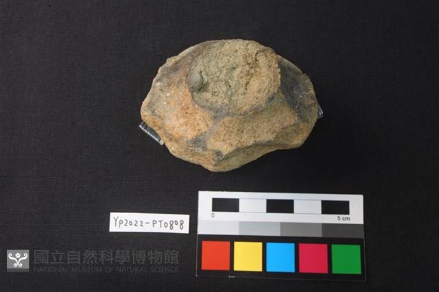 陶蓋藏品圖，第2張