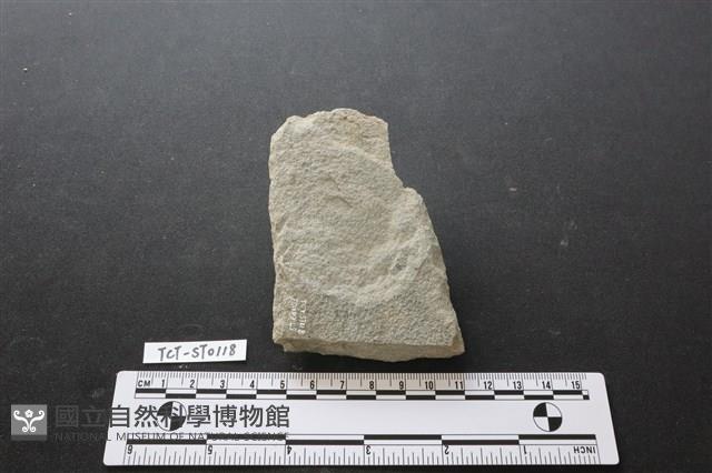 斧鋤形器藏品圖，第2張