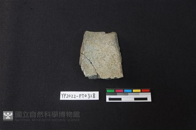 陶片藏品圖，第2張