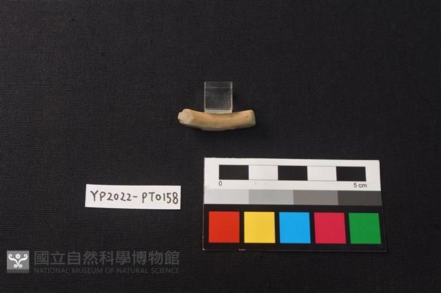 陶環藏品圖，第2張