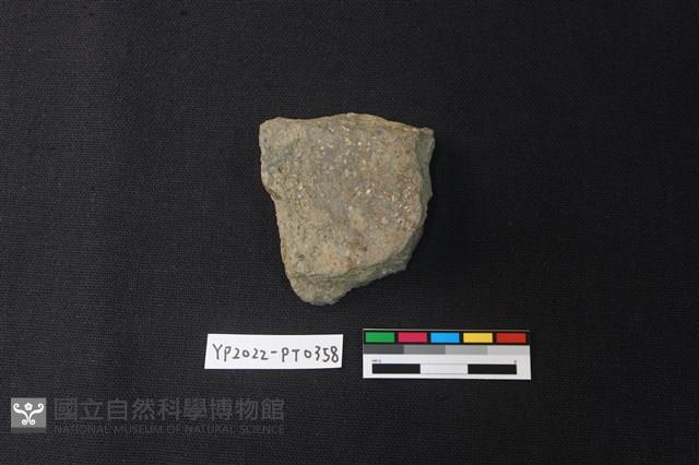 陶片藏品圖，第2張