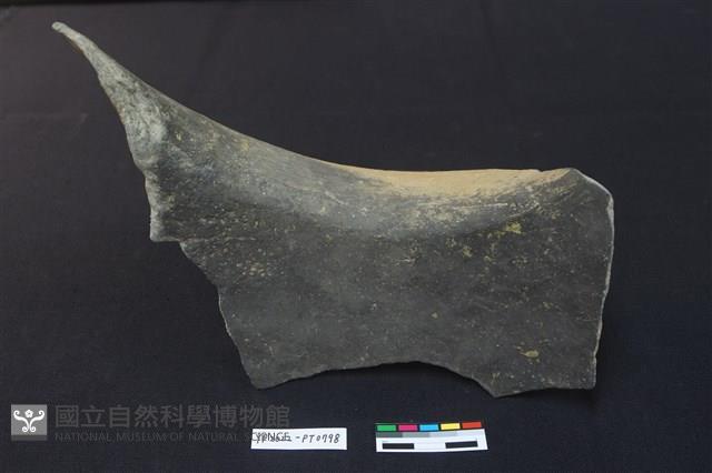 陶片藏品圖，第2張