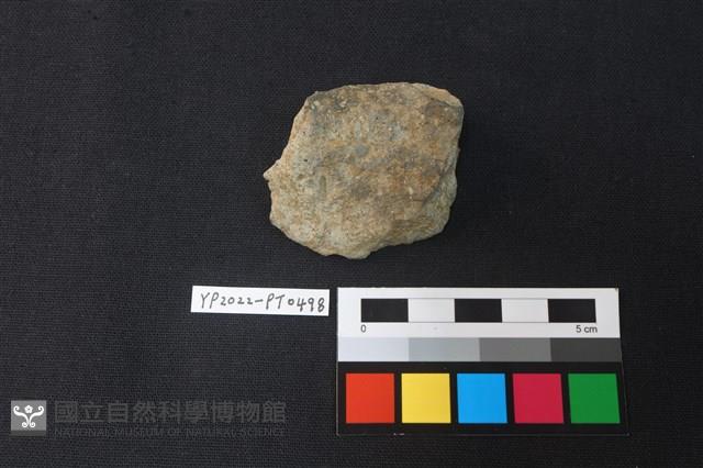 陶片藏品圖，第2張