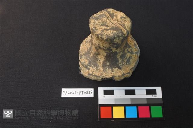 蓋鈕藏品圖，第2張