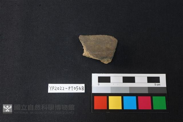 陶片藏品圖，第2張