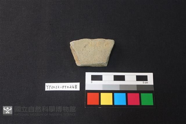 陶片藏品圖，第2張