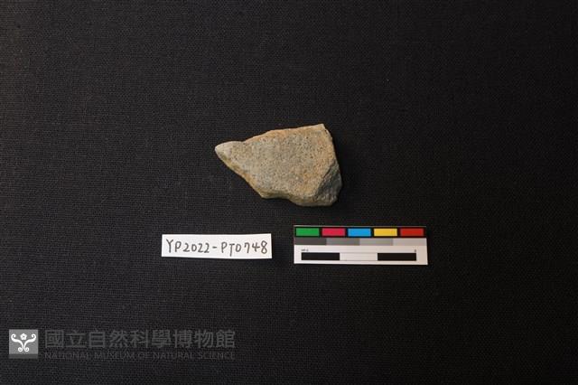 陶片藏品圖，第2張