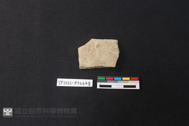 陶片藏品圖，第2張