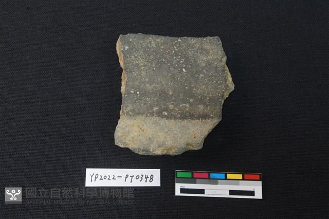 陶片藏品圖，第2張