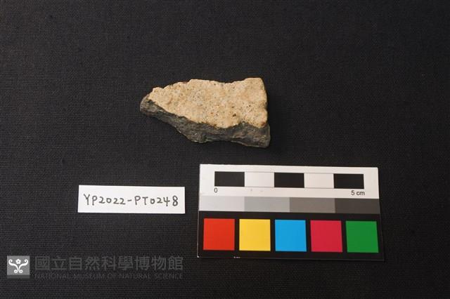 陶片藏品圖，第2張