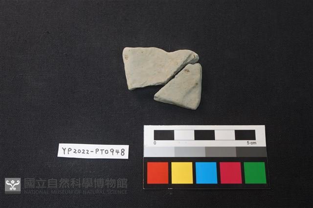 陶片藏品圖，第2張