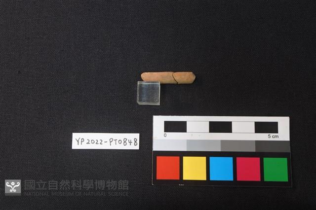 陶環藏品圖，第2張