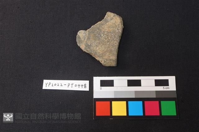 陶片藏品圖，第2張