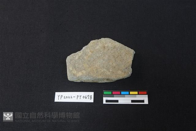 陶片藏品圖，第2張