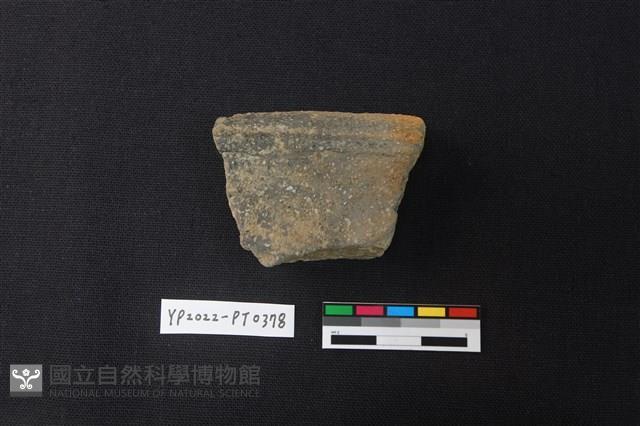 陶片藏品圖，第2張
