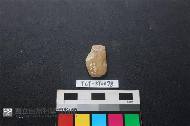矛鏃形器藏品圖，第2張