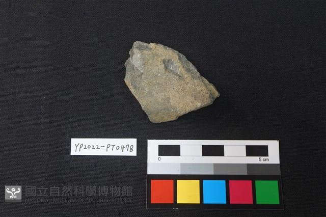 陶片藏品圖，第2張