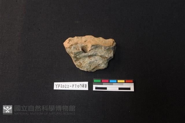 陶片藏品圖，第2張