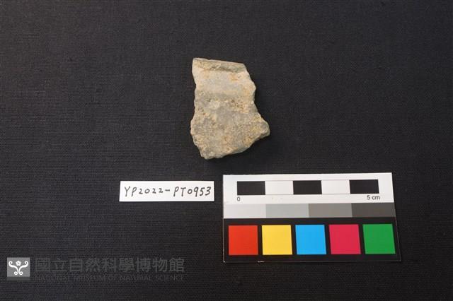 陶片藏品圖，第2張