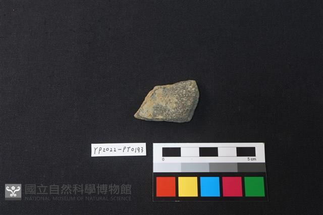 陶片藏品圖，第2張